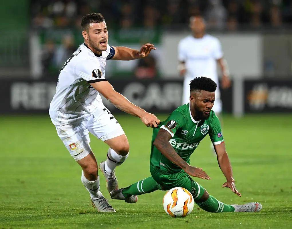 我们期待张 我们期待张